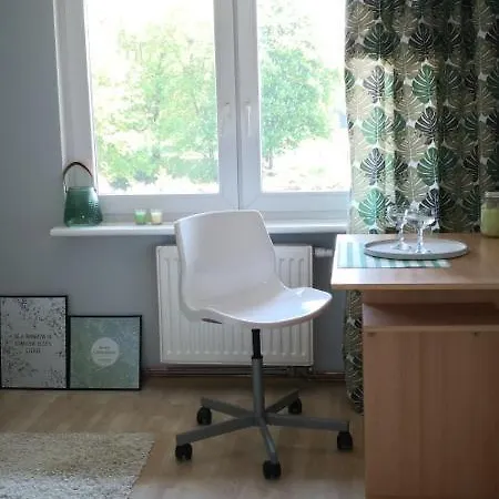 Nad Stawem Mlynskim